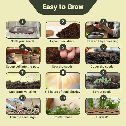 10-Herb Indoor Garden Starter Kit with Pots & Tools