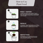 Indoor Potting Soil Mix with Biochar for Houseplants & Herbs