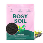 Indoor Potting Soil Mix with Biochar for Houseplants & Herbs