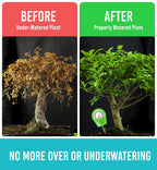 Plant Moisture Meter - Accurately Tells You When to Water Your Plants