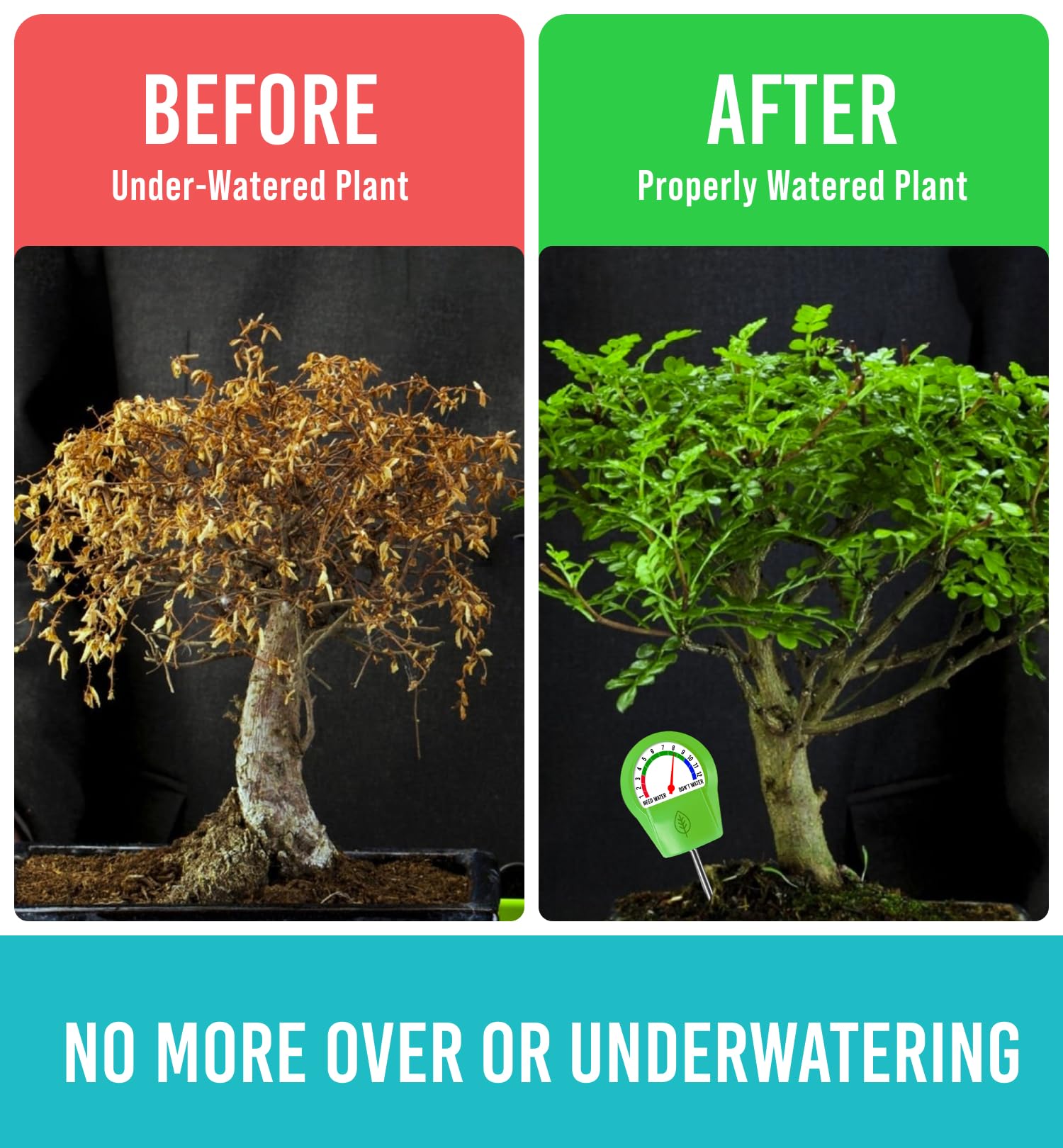 Plant Moisture Meter - Accurately Tells You When to Water Your Plants