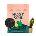 Indoor Potting Soil Mix with Biochar for Houseplants & Herbs