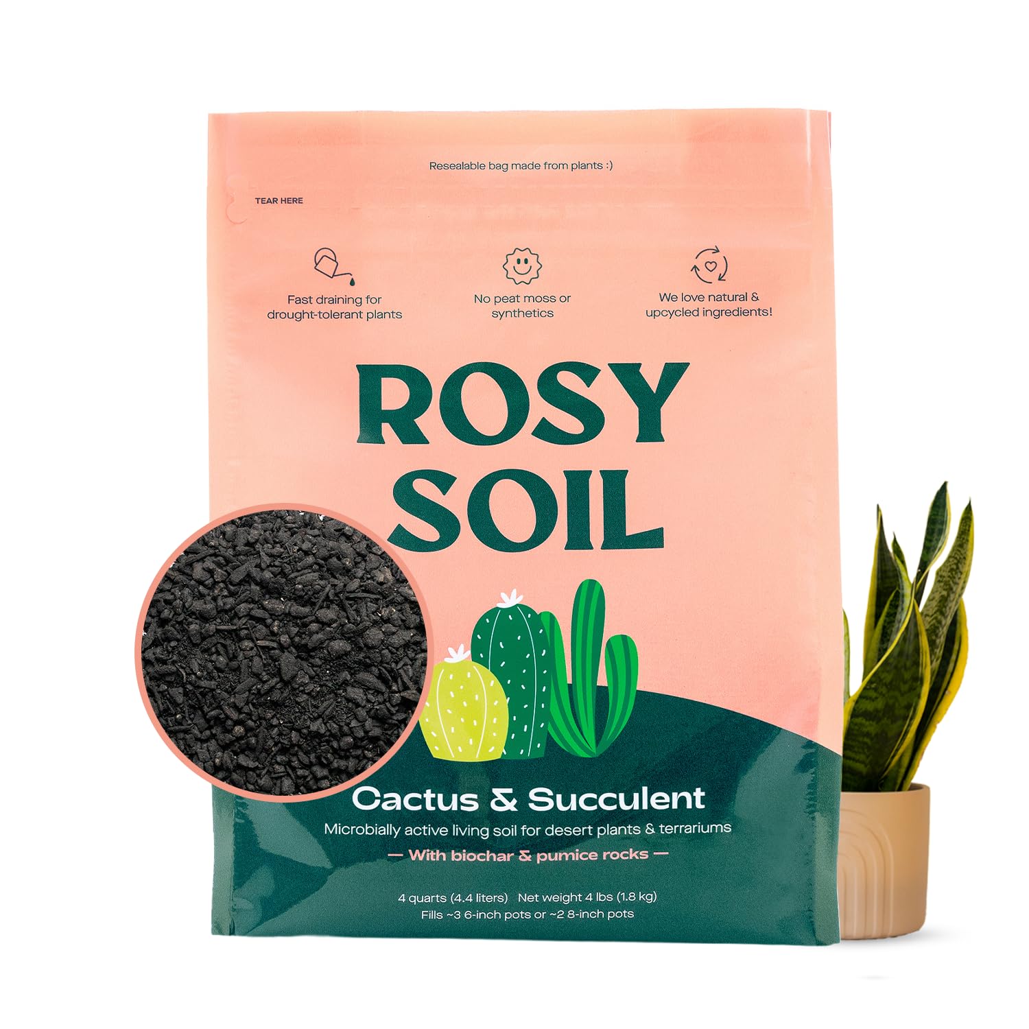 Indoor Potting Soil Mix with Biochar for Houseplants & Herbs