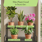 Indoor Potting Soil Mix with Biochar for Houseplants & Herbs
