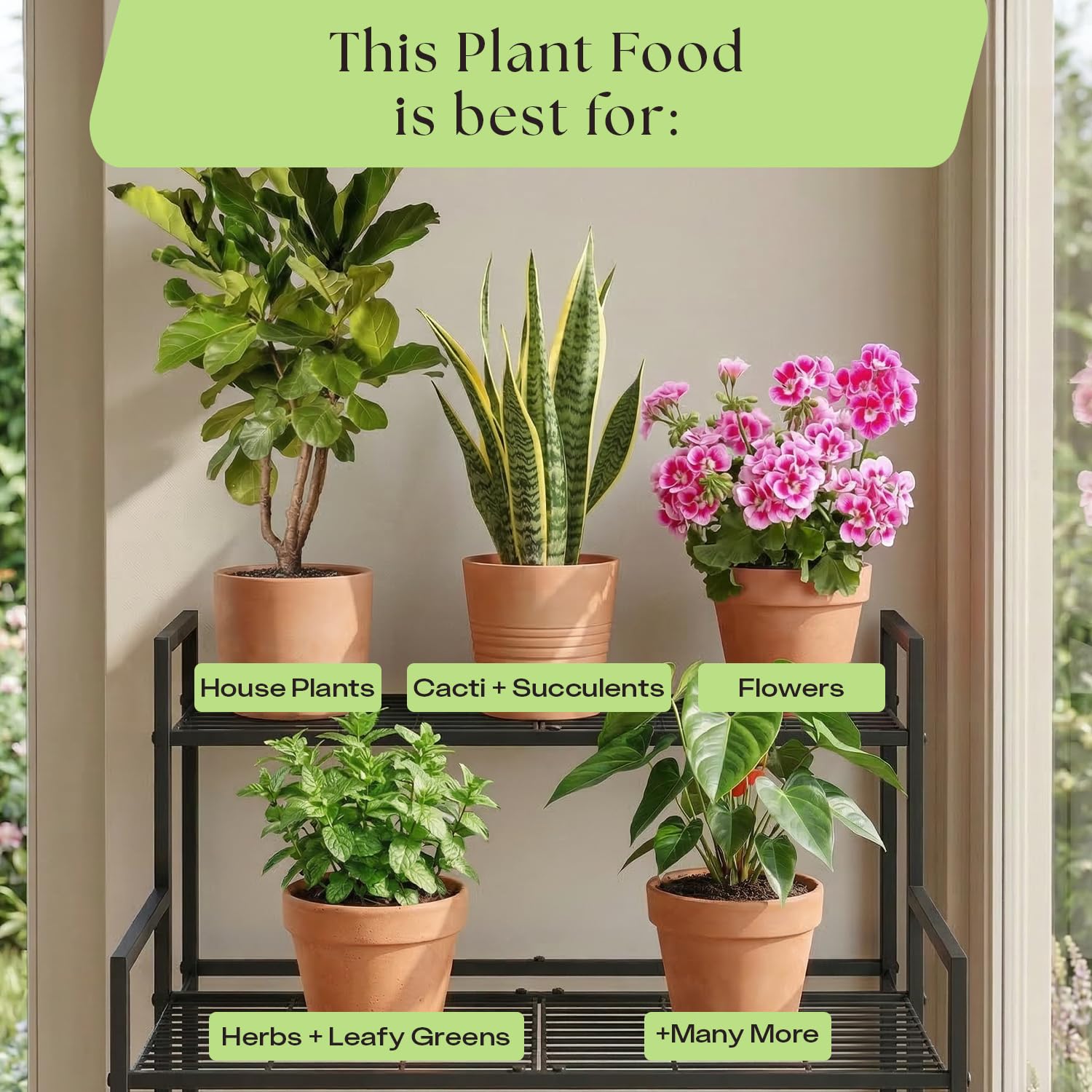 Indoor Potting Soil Mix with Biochar for Houseplants & Herbs
