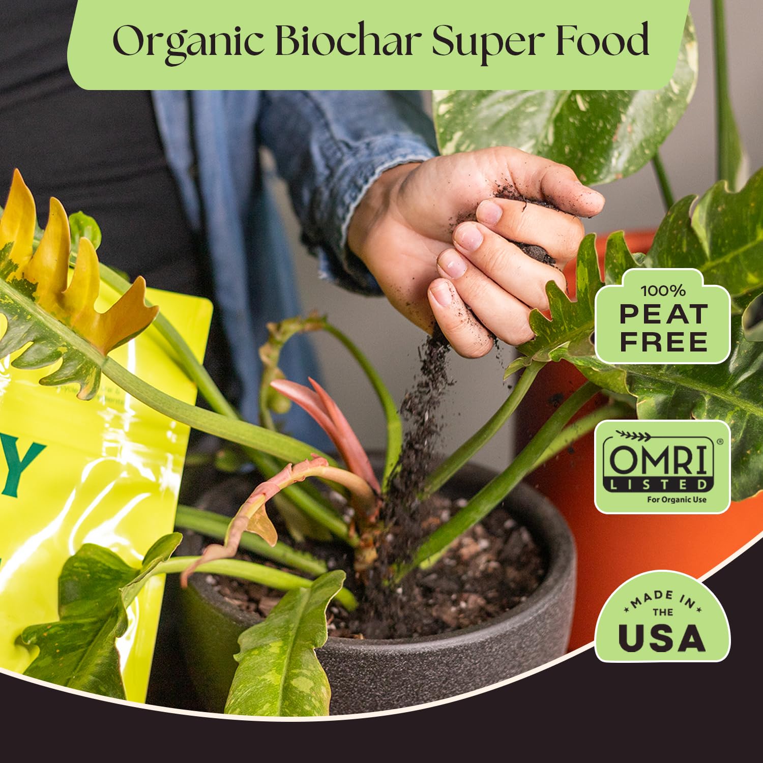 Indoor Potting Soil Mix with Biochar for Houseplants & Herbs