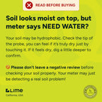 Plant Moisture Meter - Accurately Tells You When to Water Your Plants