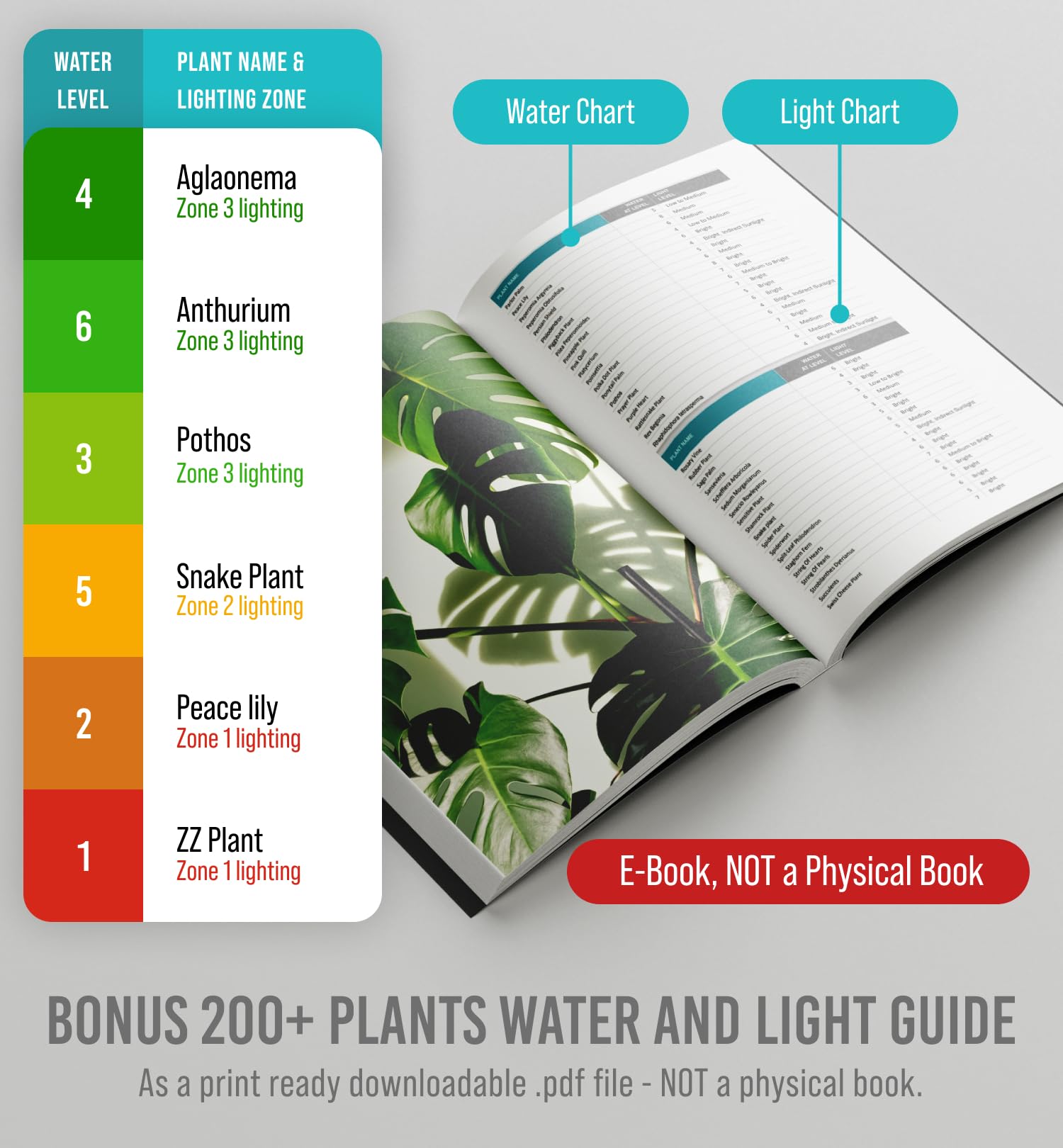 Plant Moisture Meter - Accurately Tells You When to Water Your Plants