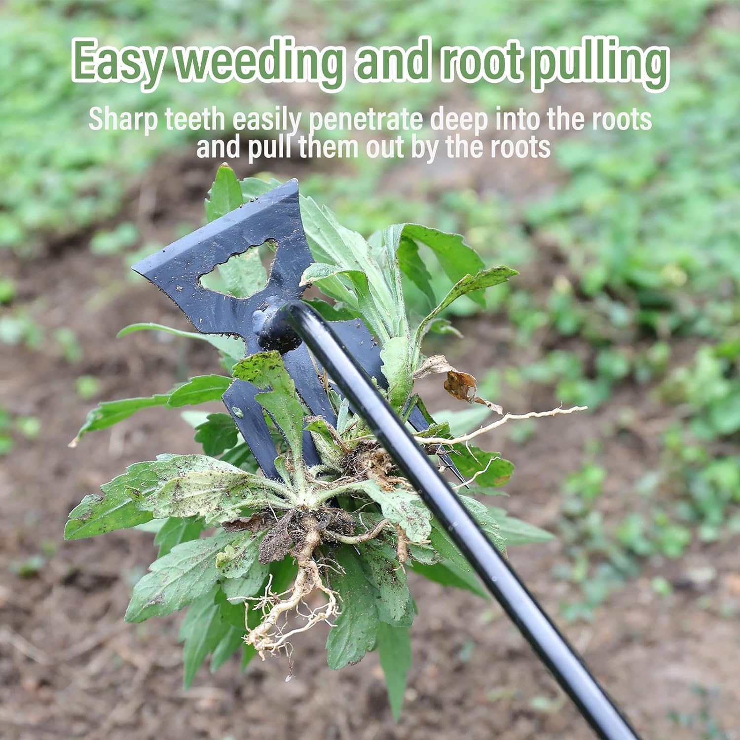 4-Tooth Hand Weeder Tool with Handle for Garden Use