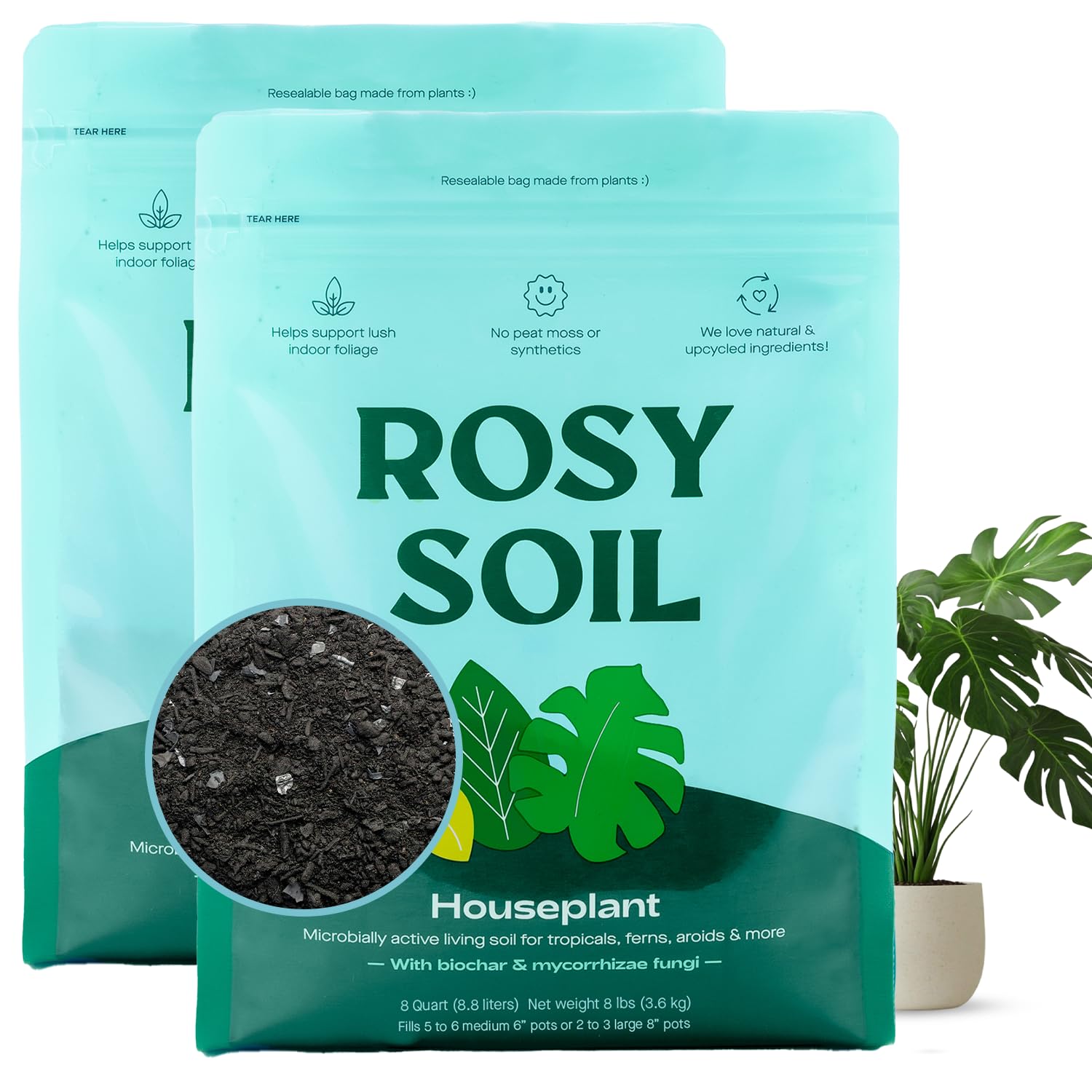 Indoor Potting Soil Mix with Biochar for Houseplants & Herbs