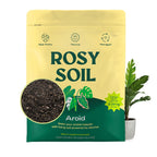 Indoor Potting Soil Mix with Biochar for Houseplants & Herbs