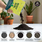 Indoor Potting Soil Mix with Biochar for Houseplants & Herbs