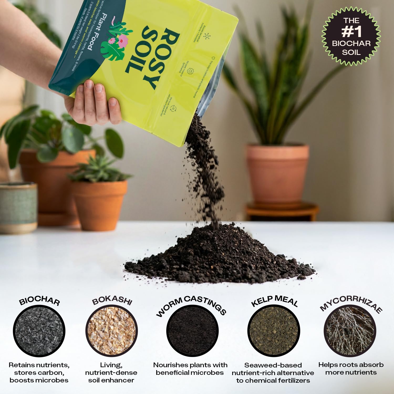 Indoor Potting Soil Mix with Biochar for Houseplants & Herbs