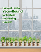 9-Herb Indoor Garden Starter Kit with Pots, Soil & Tools
