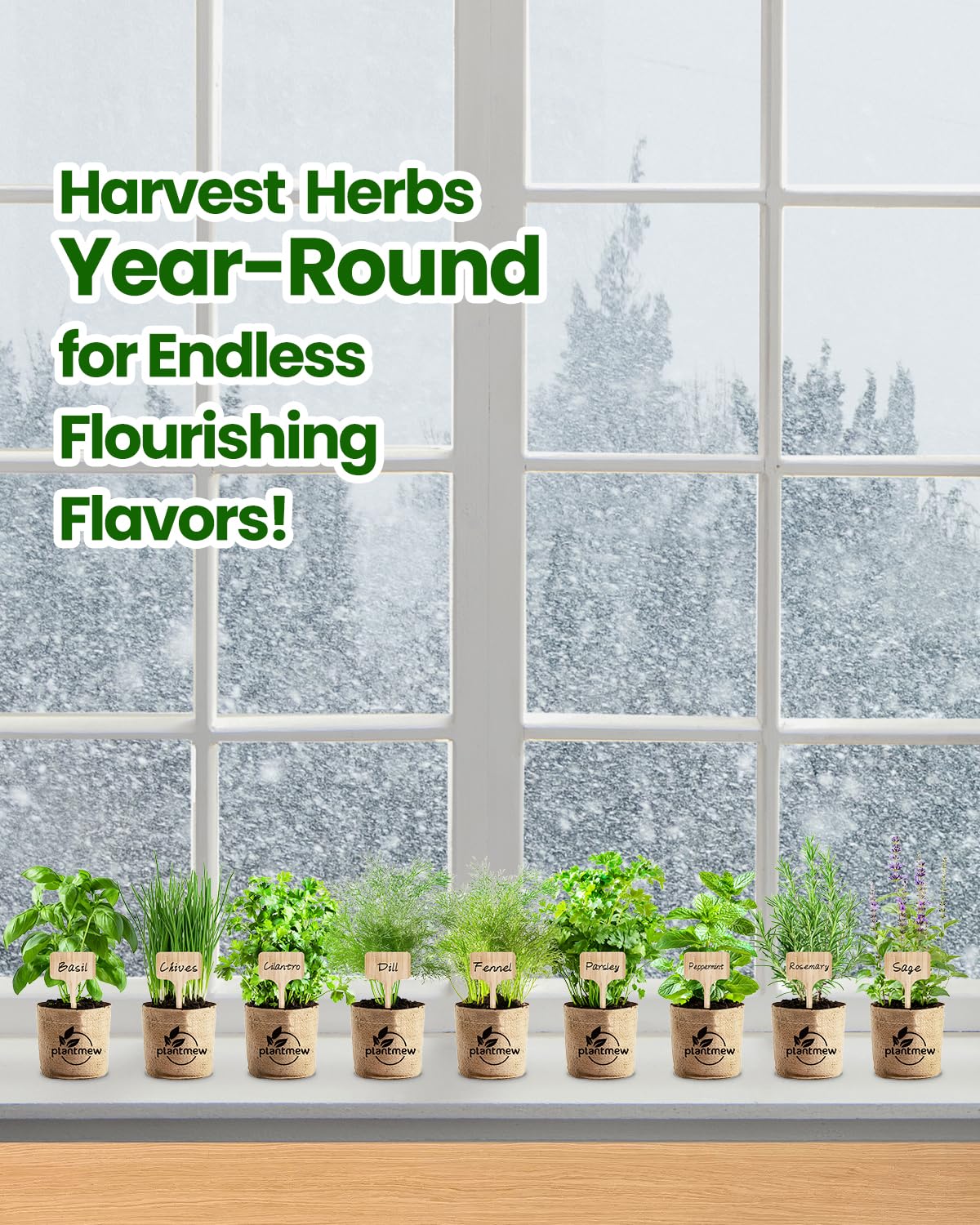 9-Herb Indoor Garden Starter Kit with Pots, Soil & Tools