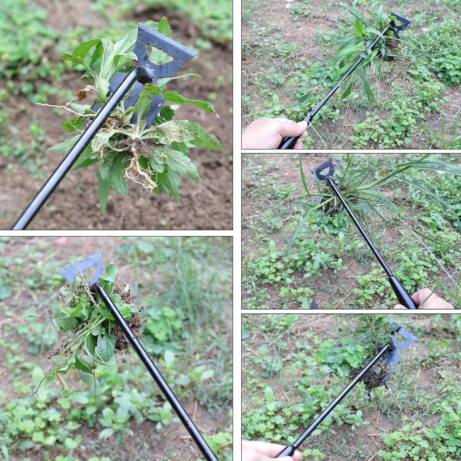 4-Tooth Hand Weeder Tool with Handle for Garden Use
