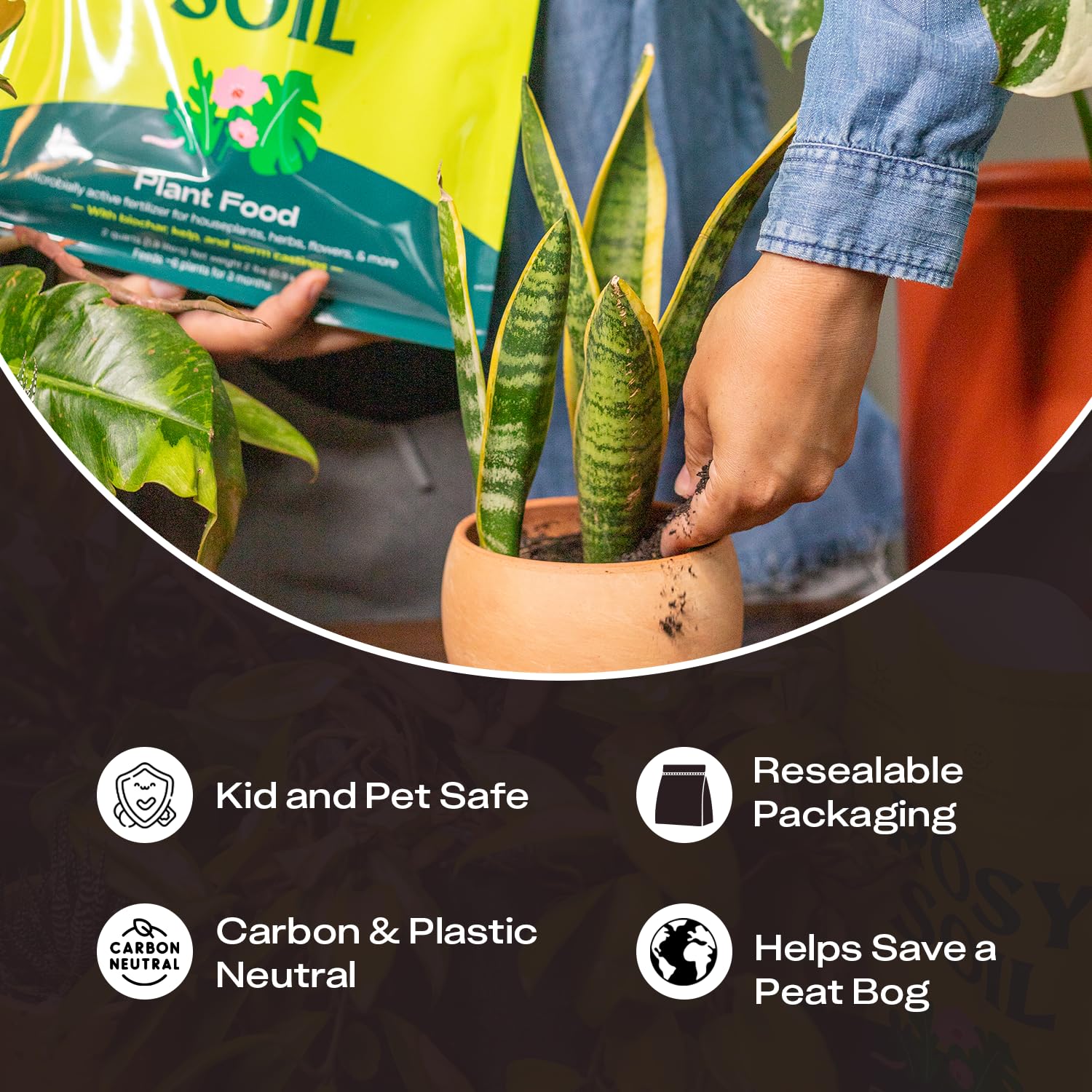Indoor Potting Soil Mix with Biochar for Houseplants & Herbs