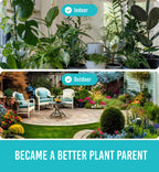 Plant Moisture Meter - Accurately Tells You When to Water Your Plants