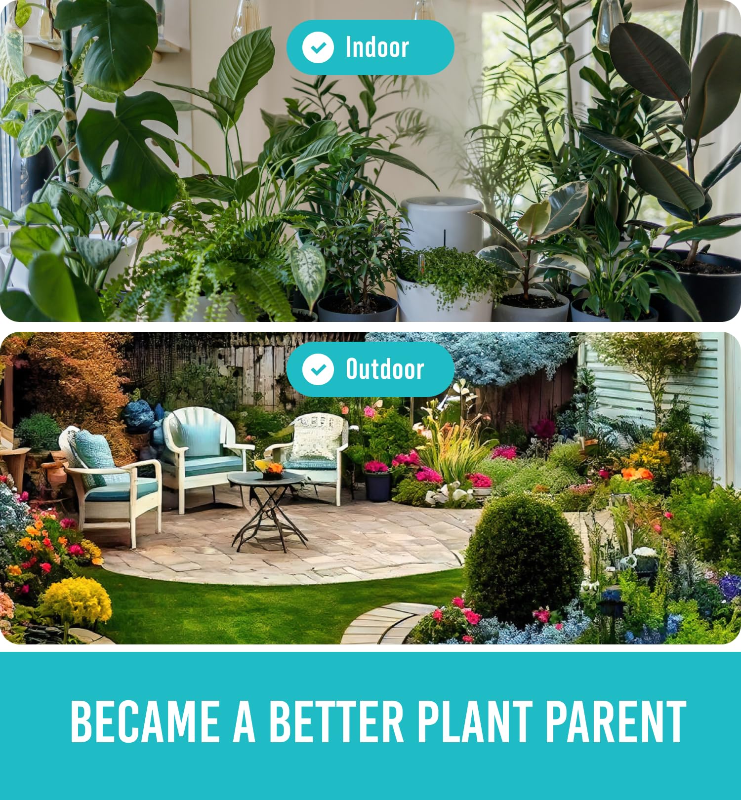 Plant Moisture Meter - Accurately Tells You When to Water Your Plants