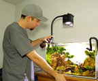 All-in-One Liquid Fertilizer for Planted Aquariums