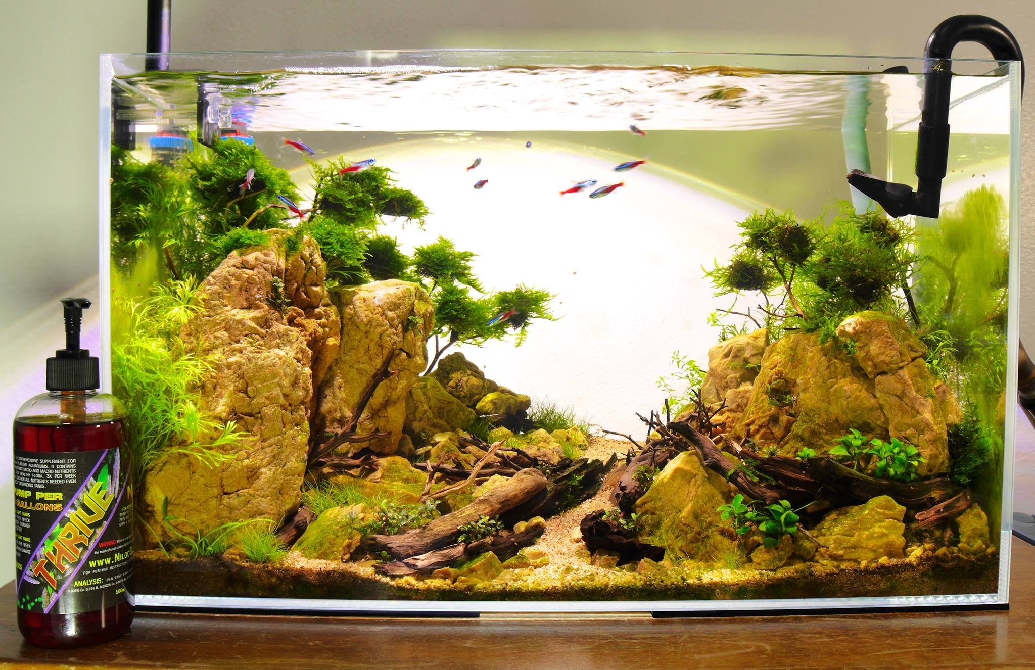 All-in-One Liquid Fertilizer for Planted Aquariums